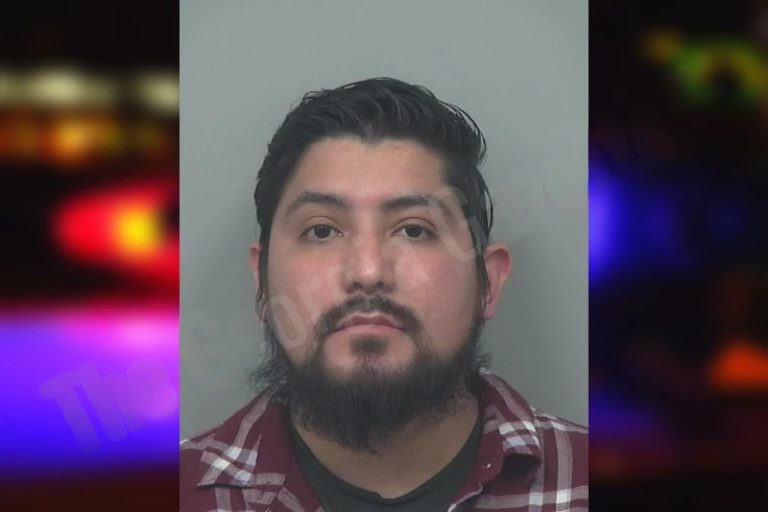 Gabriel Castilleja mugshot β Walton County , Georgia Gabriel Castilleja