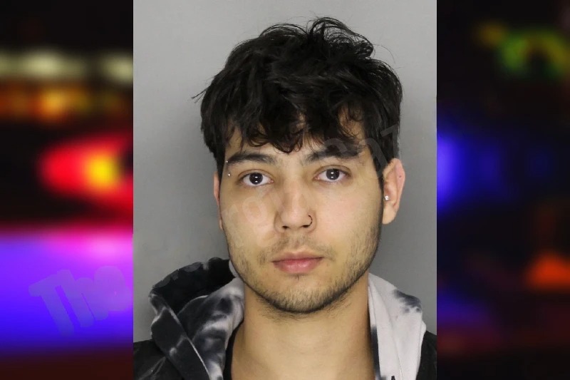 Gabriel Hamano mugshot – Cobb County , Georgia Gabriel Hamano mugshot