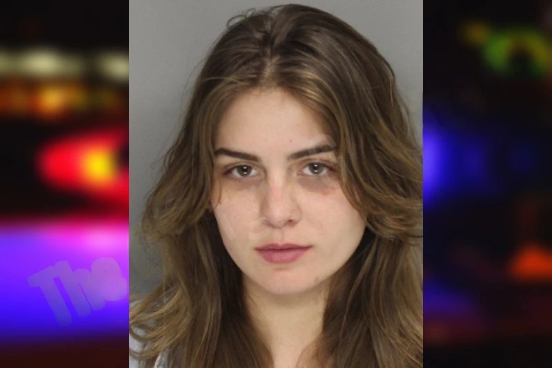 Gabrielle McMahon mugshot