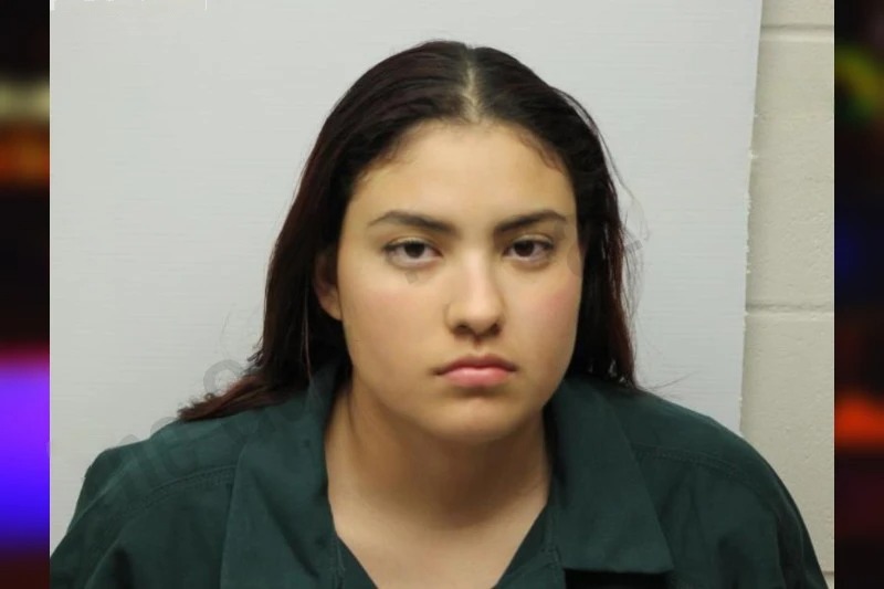 Geraldine Villamizar Barrios Mugshots