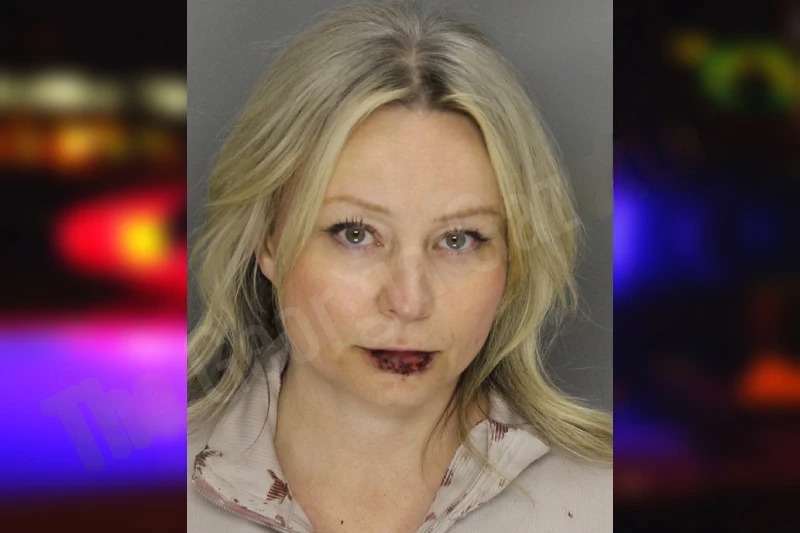 Ginger Kulikowski mugshot – Cobb County , Georgia Ginger Kulikowski mugshot