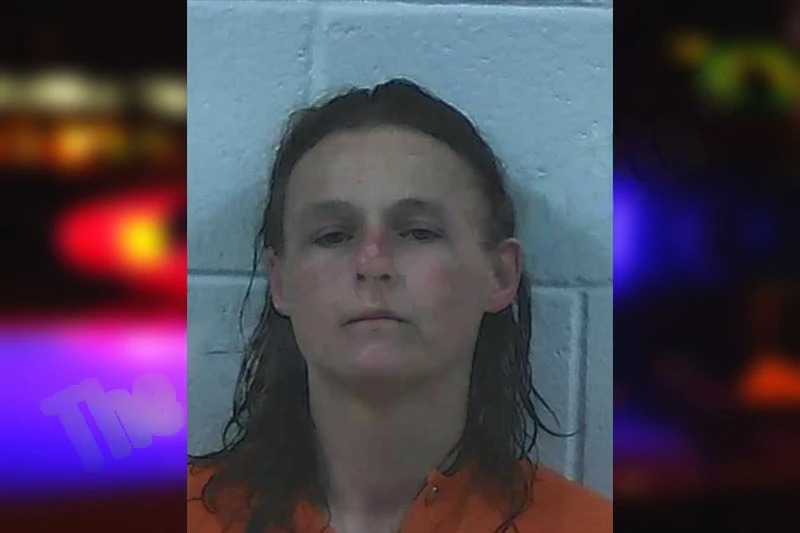 Gisela Bray Mugshots