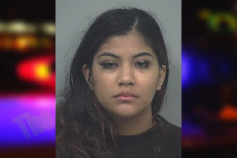 Glenda Arizmendi mugshot – Chattooga County , Georgia Glenda Arizmendi