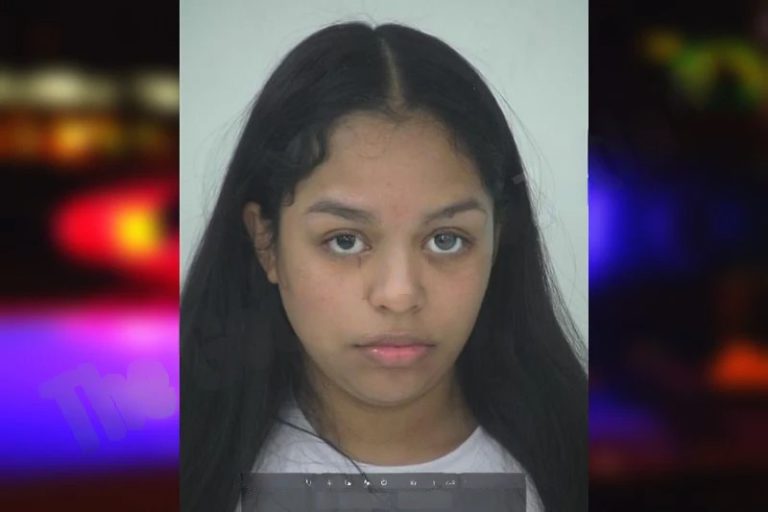 Guadalupe Garcia Marin mugshot – Fayette County , Georgia Guadalupe Garcia Marin