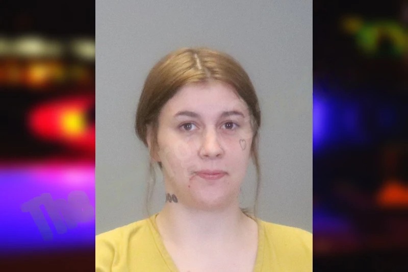 Haleigh Stewart Mugshots