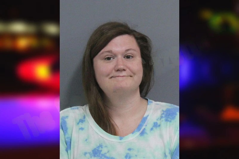 Haley Bryson mugshot – Catoosa County , Georgia Haley Bryson mugshot