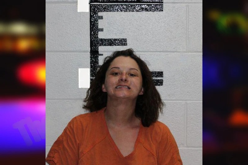 Haley Griggs mugshot – Murray County , Georgia Haley Griggs mugshot