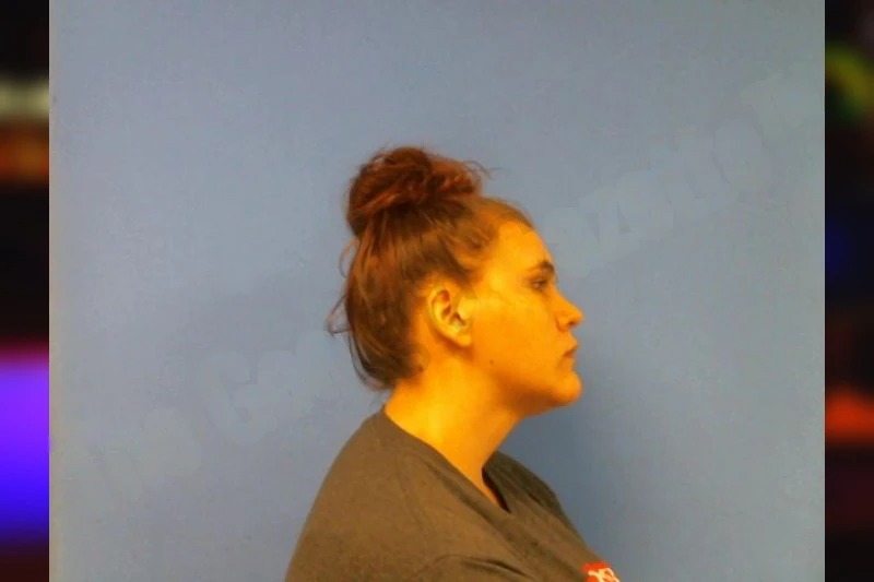 Hannah Eldridge Mugshots