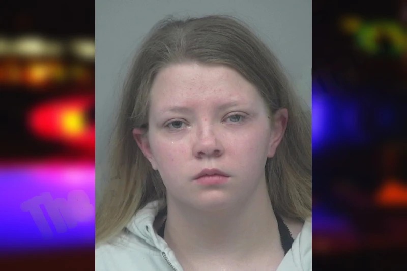 Hannah Lohry-Wall mugshot