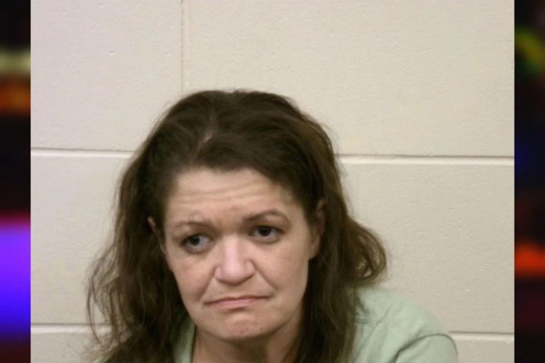 Heather Bellamy mugshot – Bulloch County , Georgia Heather Bellamy