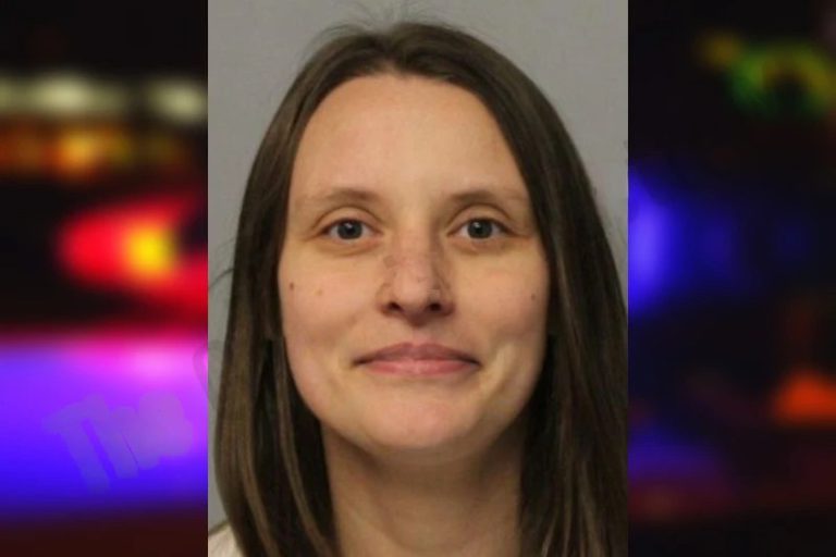 Heather Chambers mugshot – Hall County , Georgia Heather Chambers