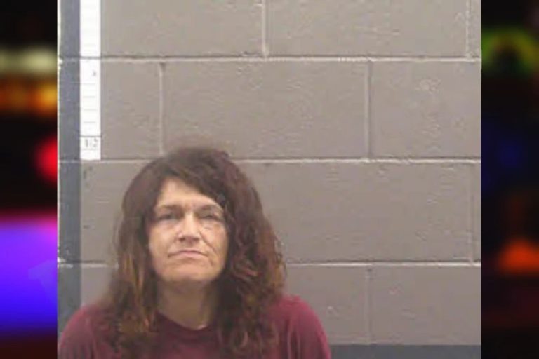 Heather Chambers mugshot – Banks County , Georgia Heather Chambers