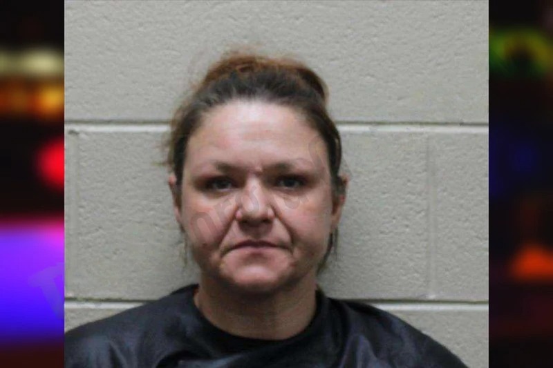 Heather Heard Mugshots