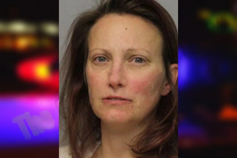 Heather Hopkins mugshot – Hall County , Georgia Heather Hopkins mugshot