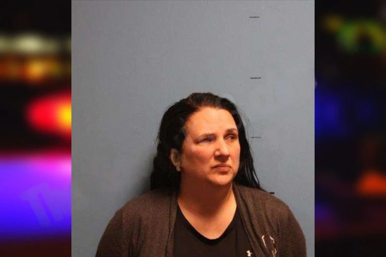 Heather Lipscomb mugshot – Monroe County , Georgia Heather Lipscomb