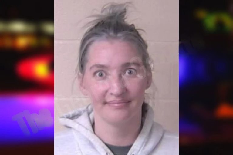 Heather Nave mugshot – Henry County , Georgia Heather Nave