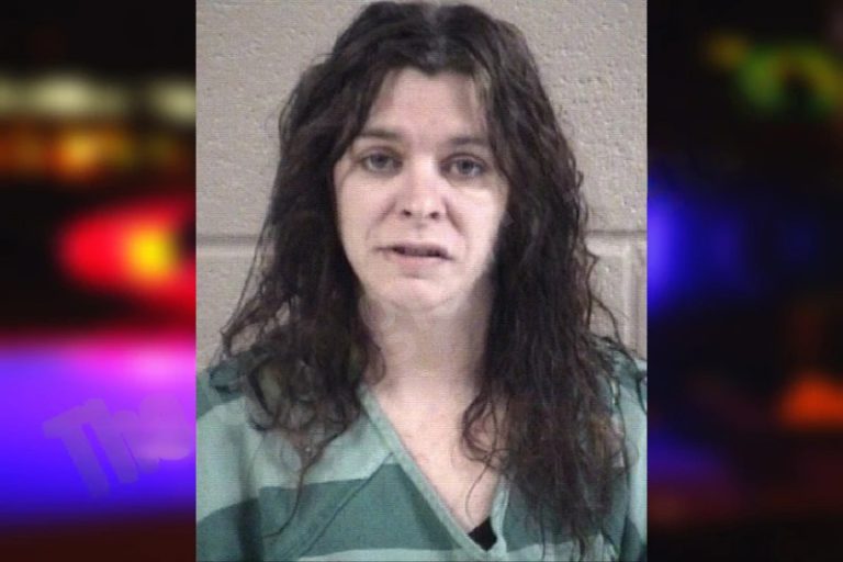 Heather Siani mugshot – Whitfield County , Georgia Heather Siani