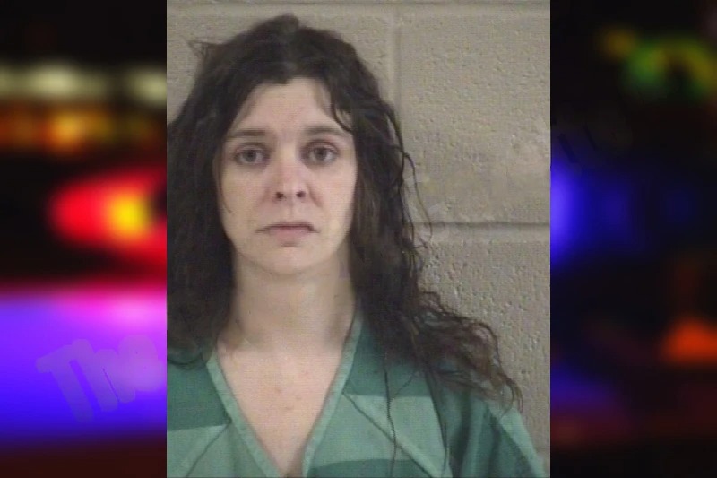 Heather Siani Mugshots