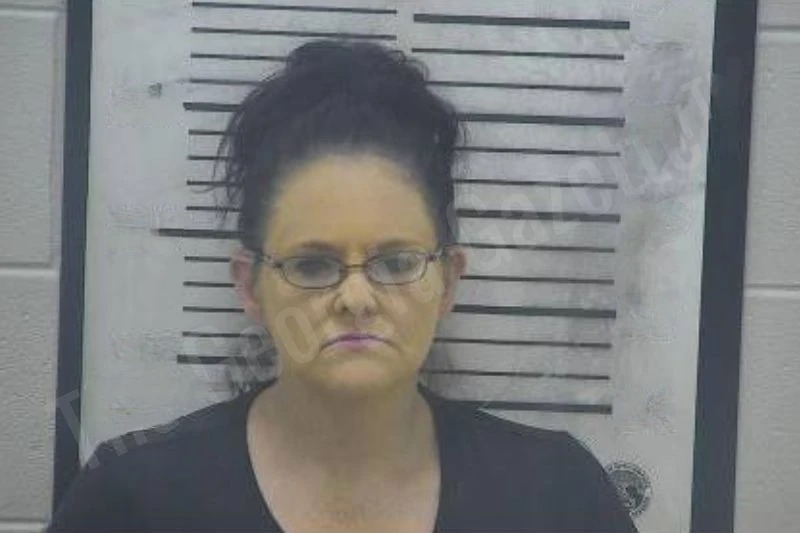 Heather Thomas mugshot