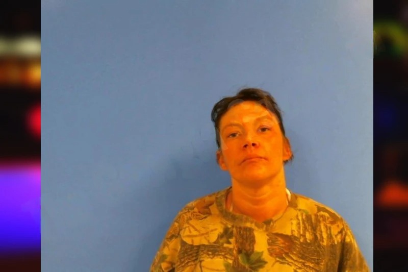 Heather Wood mugshot – Troup County , Georgia Heather Wood mugshot
