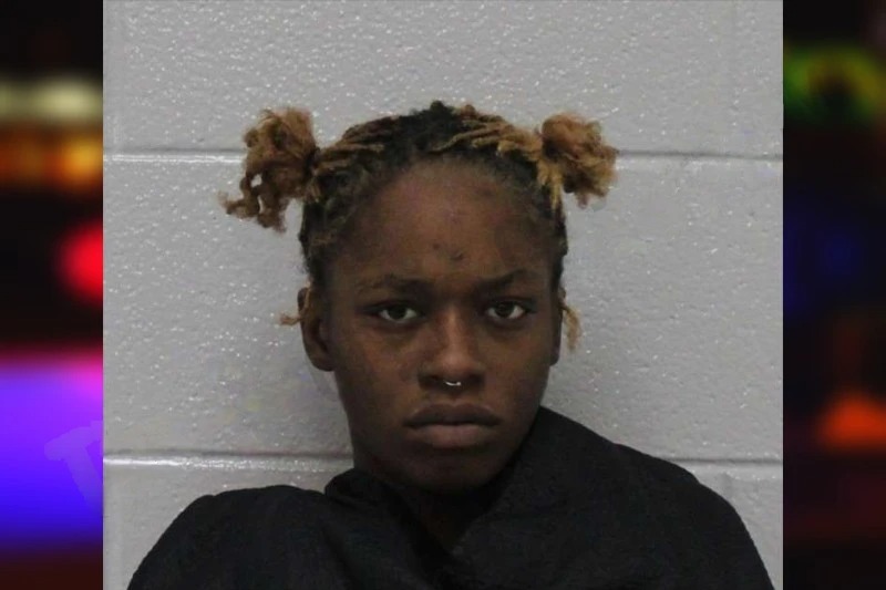 Heaven Houston mugshot