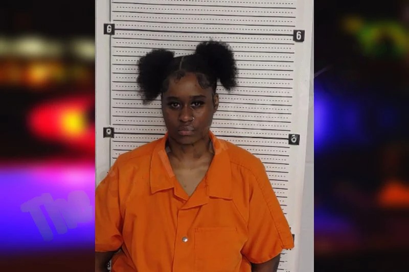 Heavyn Harrison-Turman mugshot