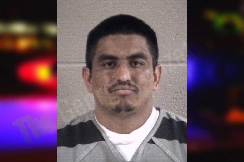 Heber Mena-Triana Mugshots