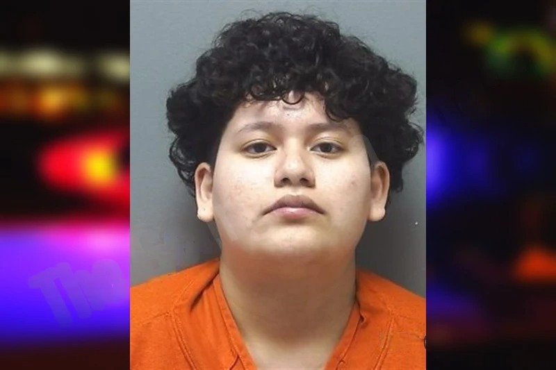 Hellen Arellano Mugshots