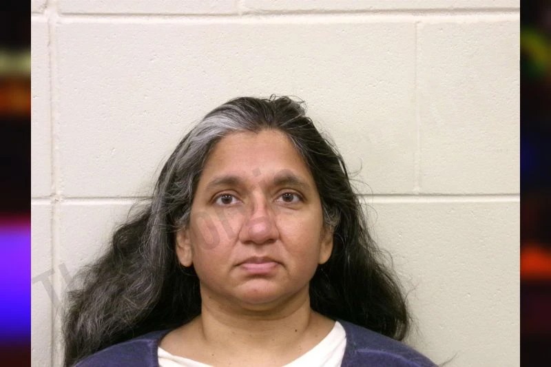 Hetal Patel mugshot