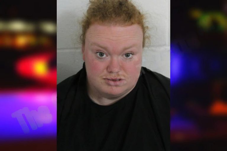 Holly Hosey mugshot – Floyd County , Georgia Holly Hosey