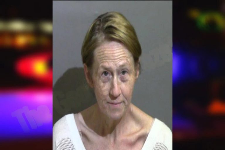 Holly Wildt mugshot – Glynn County , Georgia Holly Wildt