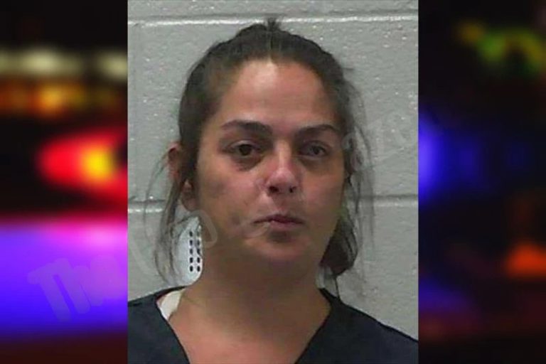 Hope Loudermilk mugshot – Gilmer County , Georgia Hope Loudermilk