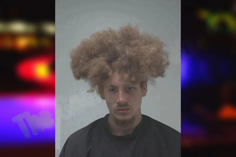 Ian Goodman Mugshots