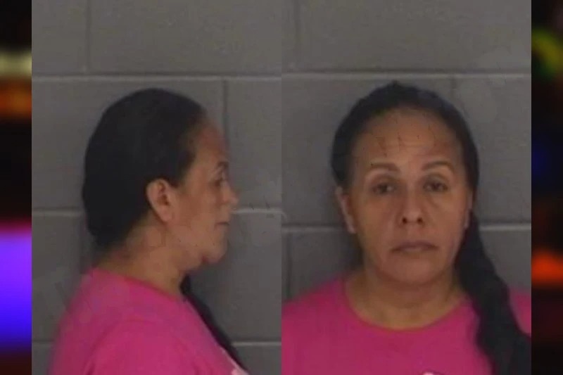 Ingrid Palma-De-Galvan mugshot – Barrow County , Georgia Ingrid Palma-De-Galvan mugshot