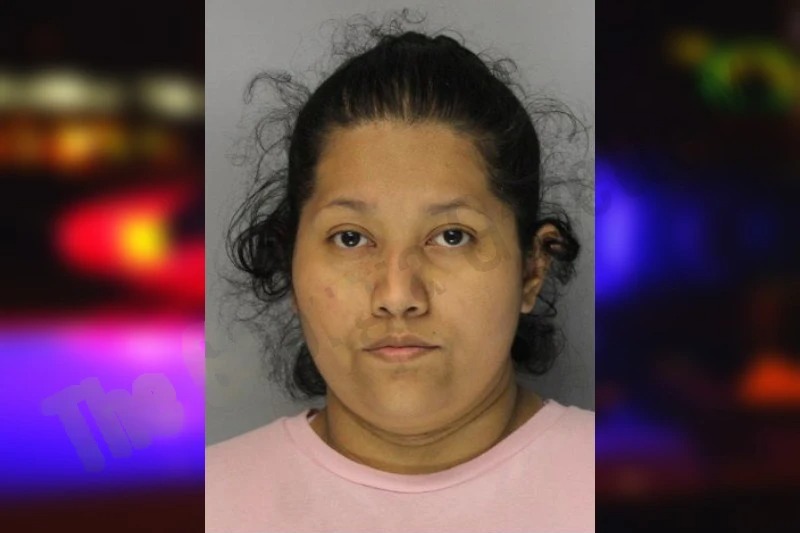 Iris Rodriguez-Vazquez Mugshots