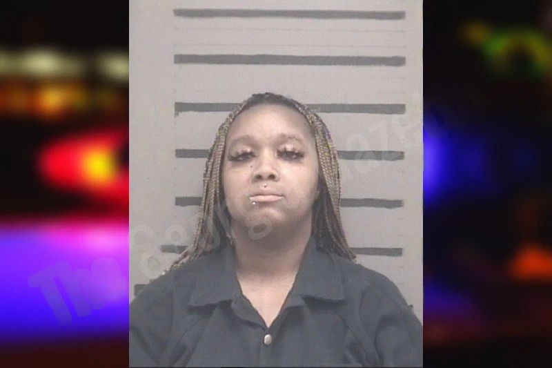 Is’Mel Fair Mugshots