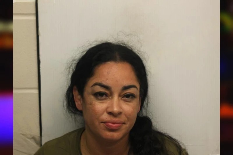 Ivelise Ali mugshot – Chatham County , Georgia Ivelise Ali mugshot