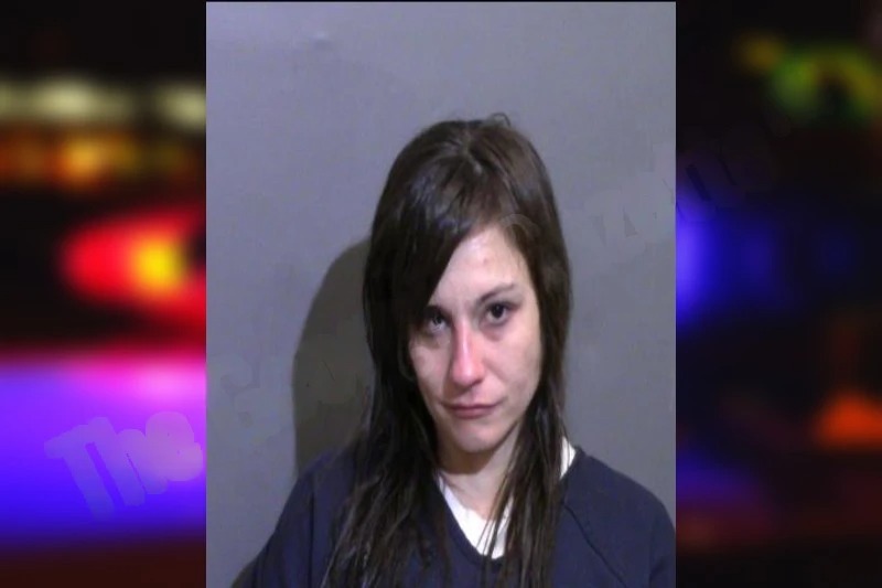 Ivelisse Gonzalez Mugshots