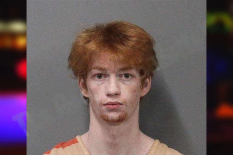 Jackson Mitchell Mugshots