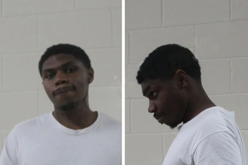 Jacques Mitchell Mugshots