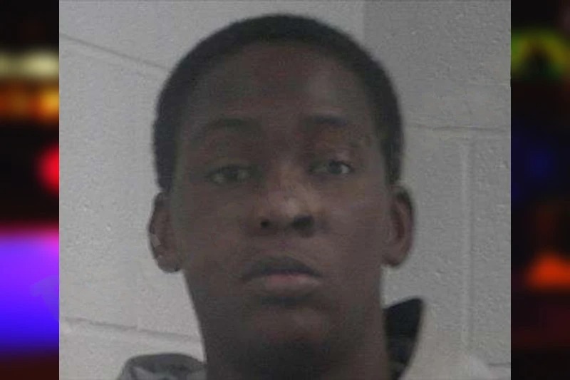 Jala Sturgis mugshot – McDuffie County , Georgia Jala Sturgis mugshot