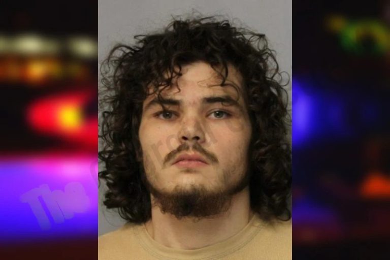 James McElheny mugshot – Hall County , Georgia James McElheny