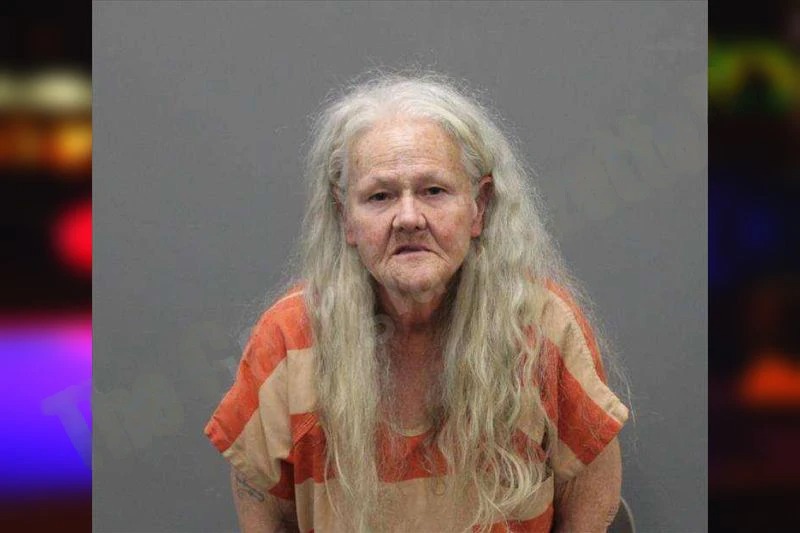 Jamie Heddings Mugshots