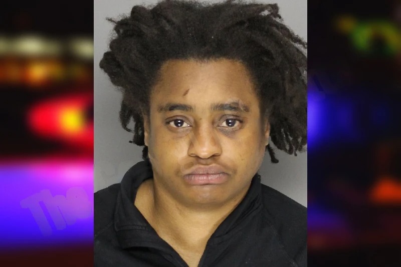 Janae Patrick Mugshots