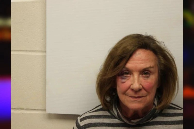 Jane Pelehach mugshot