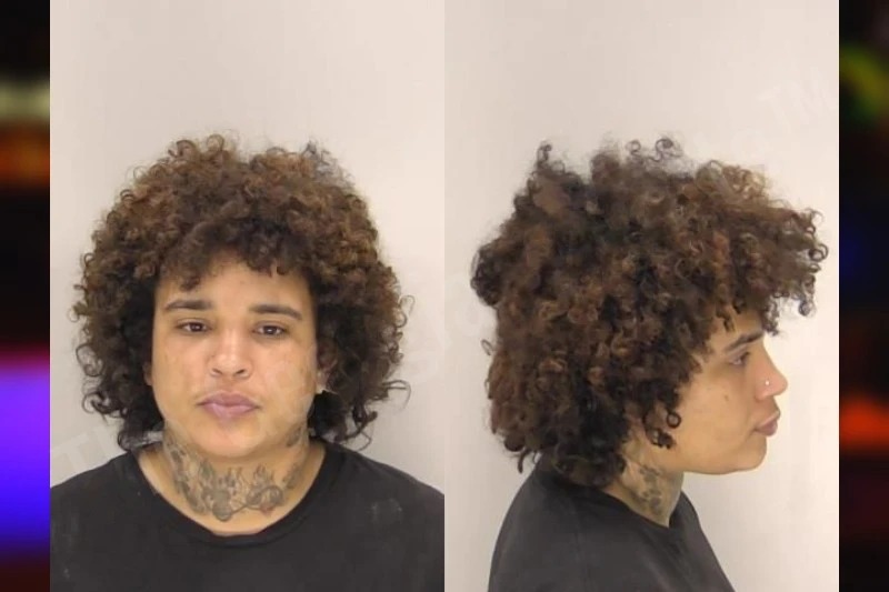 Jasmine Lee Mugshots