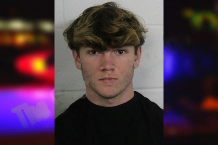 Jayden Taylor mugshot – Gwinnett County , Georgia Jayden Taylor