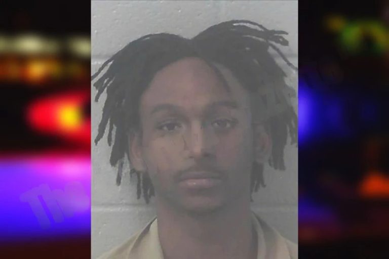 Jaydon Williams mugshot – Newton County , Georgia Jaydon Williams