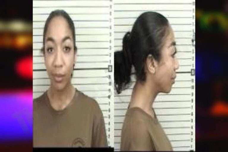 Jazmine Akram mugshot – Camden County , Georgia Jazmine Akram