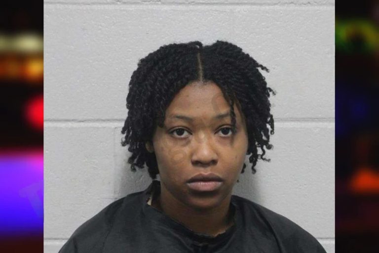 Jazzmine Simmons mugshot – Habersham County , Georgia Jazzmine Simmons